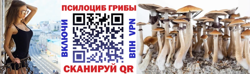 hydra как зайти  где найти наркотики  Петухово  Галлюциногенные грибы Psilocybe 